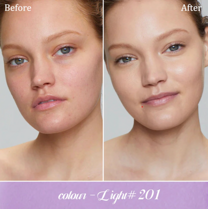 Blanc Cover Cream Stick V Foundation Removable Brush